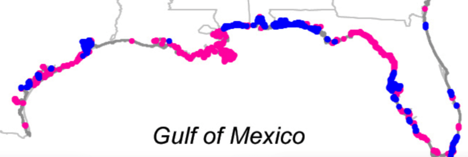Gulf Coast shores invasiveness.png