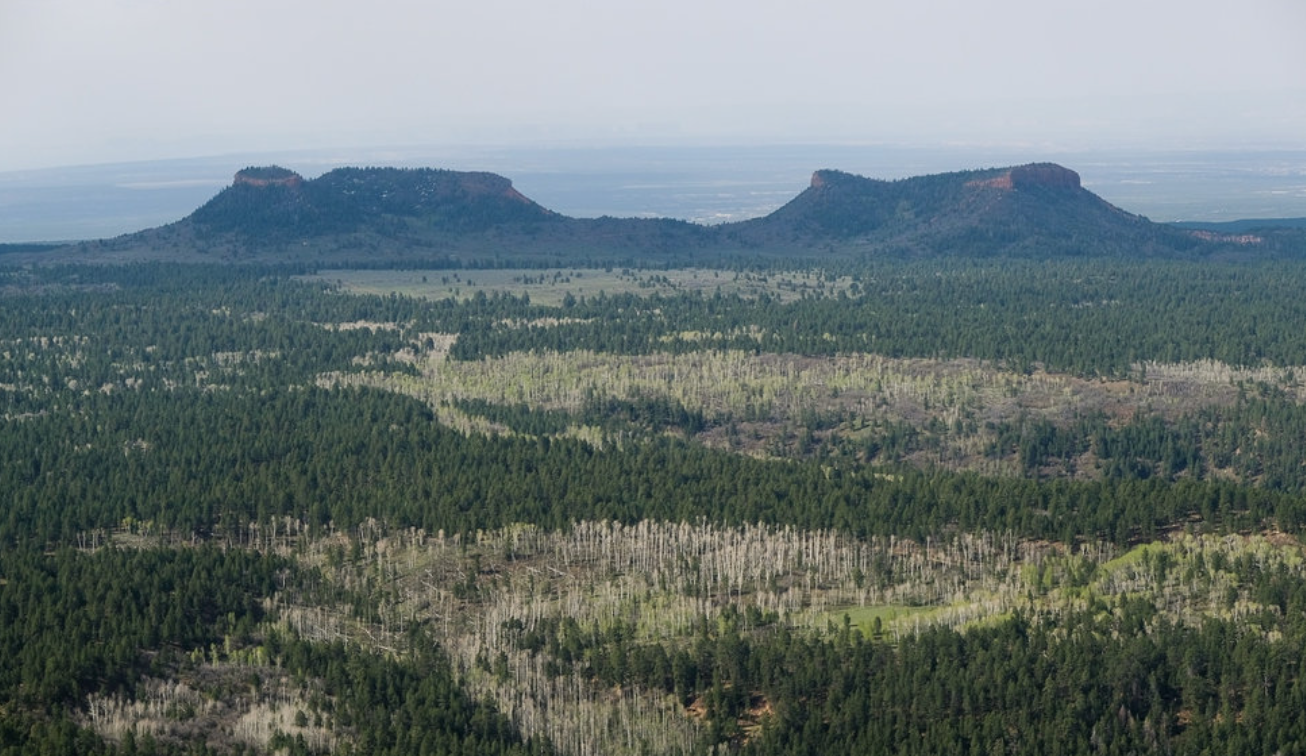 Bears Ears Francisco Kjolseth:Salt Lake Tribune two buttes and 1.35 million acres