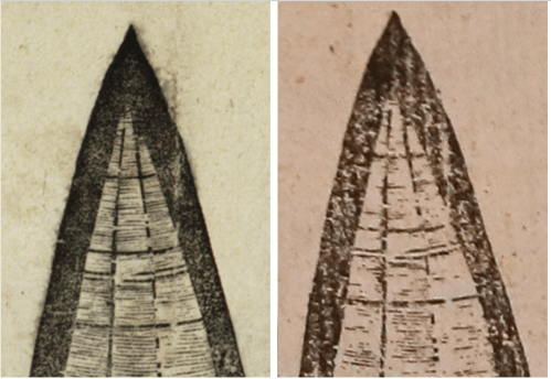 Patched Tear MWgores