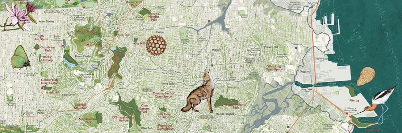 nature in city slide