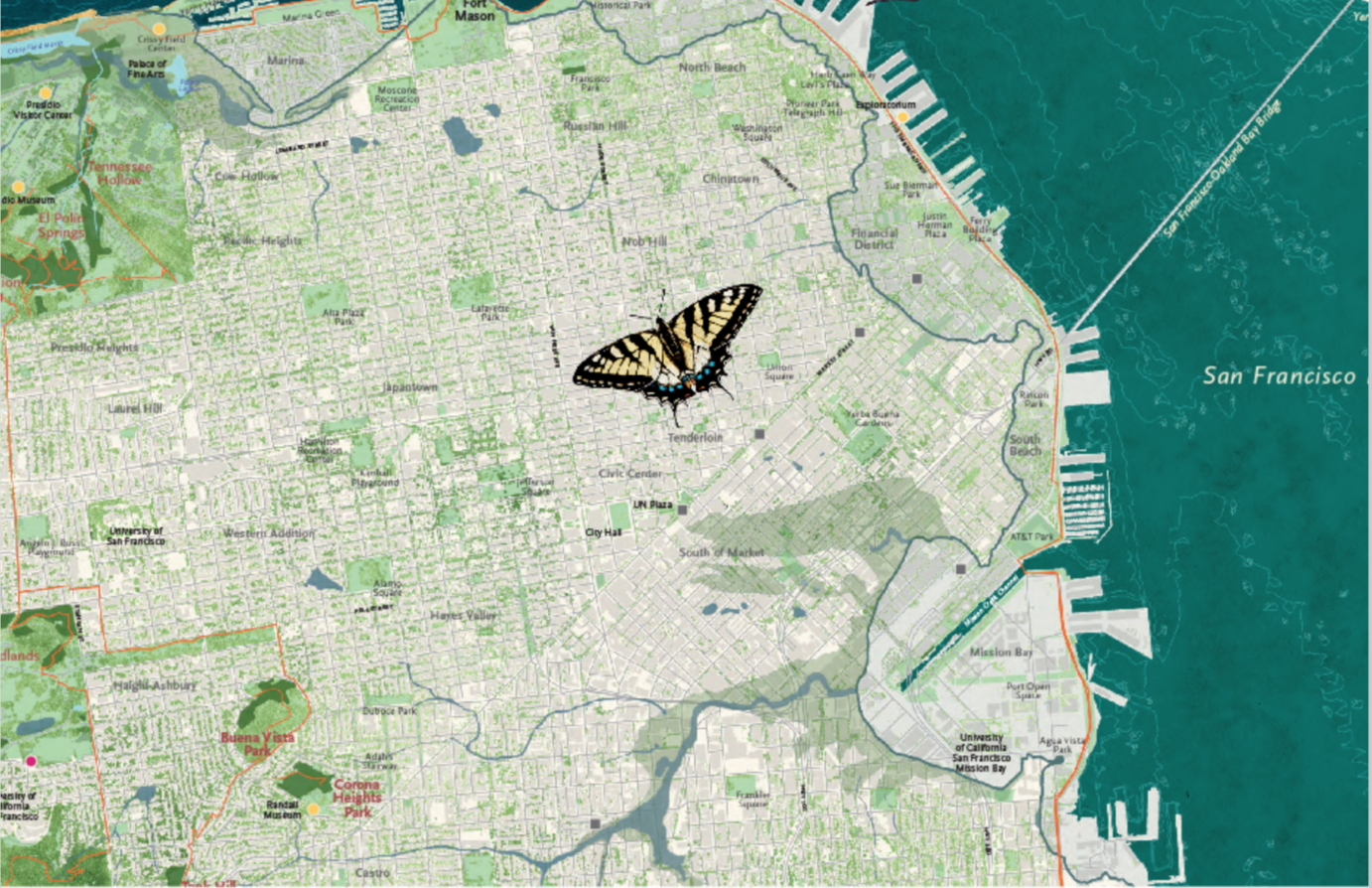 Nature in the City Butterfly Flying free.png