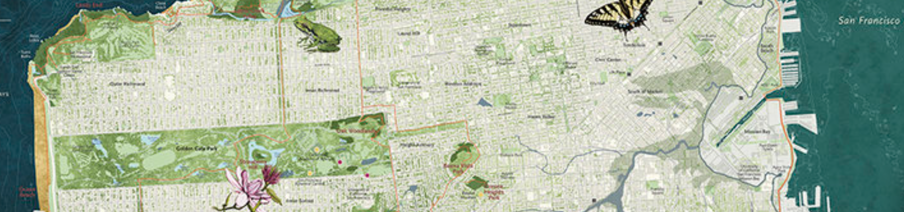 SF bay clear shot Nature in the City.png