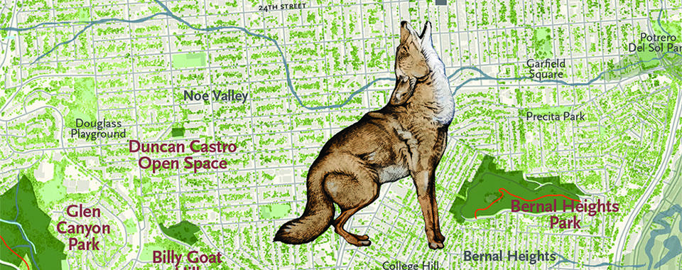 Wolf Bernal Heights-banner