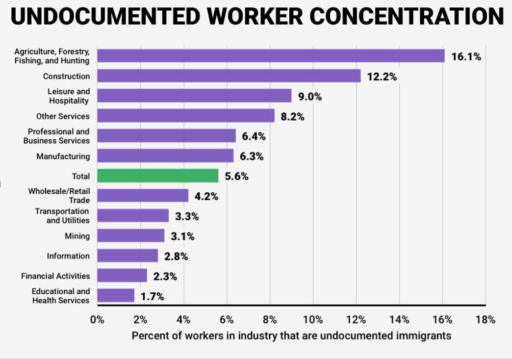 Undocumented sectors of work.png